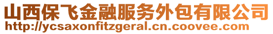 山西保飛金融服務(wù)外包有限公司