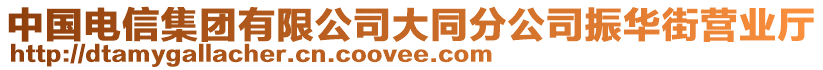 中國(guó)電信集團(tuán)有限公司大同分公司振華街營(yíng)業(yè)廳