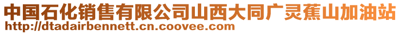 中國石化銷售有限公司山西大同廣靈蕉山加油站