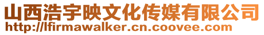 山西浩宇映文化傳媒有限公司