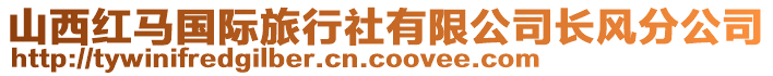 山西紅馬國際旅行社有限公司長風分公司