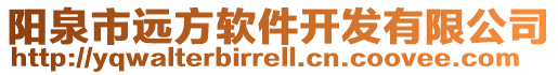 陽泉市遠方軟件開發有限公司