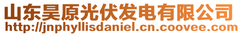 山東昊原光伏發電有限公司