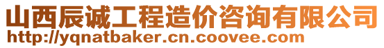 山西辰誠工程造價咨詢有限公司