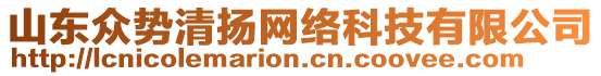 山東眾勢清揚網(wǎng)絡(luò)科技有限公司