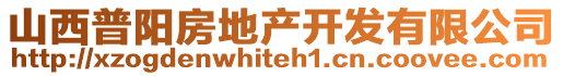 山西普阳房地产开发有限公司