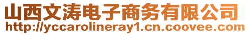 山西文濤電子商務有限公司