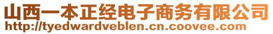 山西一本正經(jīng)電子商務(wù)有限公司