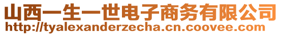 山西一生一世電子商務(wù)有限公司