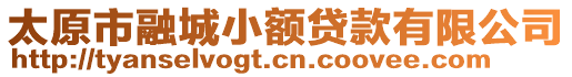 太原市融城小額貸款有限公司