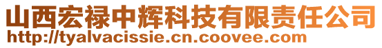 山西宏祿中輝科技有限責(zé)任公司