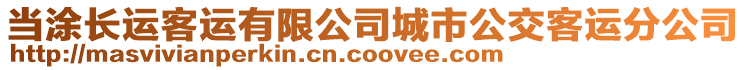 當(dāng)涂長運(yùn)客運(yùn)有限公司城市公交客運(yùn)分公司