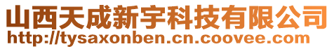 山西天成新宇科技有限公司