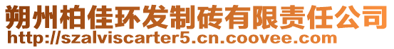 朔州柏佳環(huán)發(fā)制磚有限責(zé)任公司