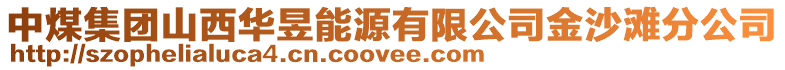 中煤集团山西华昱能源有限公司金沙滩分公司