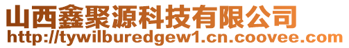山西鑫聚源科技有限公司