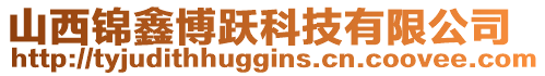 山西錦鑫博躍科技有限公司