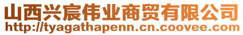 山西興宸偉業(yè)商貿有限公司