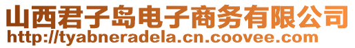 山西君子島電子商務(wù)有限公司