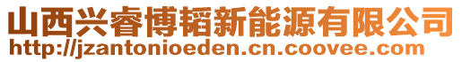 山西興睿博韜新能源有限公司