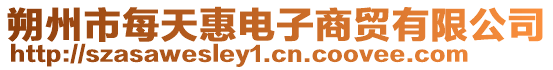 朔州市每天惠电子商贸有限公司