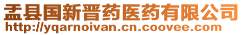 盂縣國新晉藥醫(yī)藥有限公司