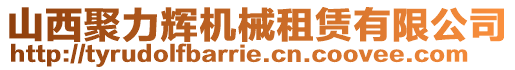 山西聚力輝機械租賃有限公司