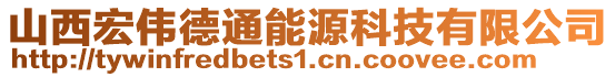 山西宏偉德通能源科技有限公司