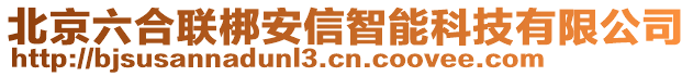 北京六合聯(lián)梆安信智能科技有限公司