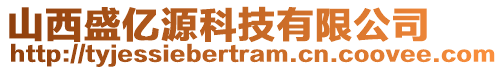 山西盛亿源科技有限公司