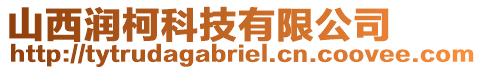 山西潤柯科技有限公司