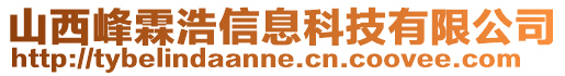 山西峰霖浩信息科技有限公司