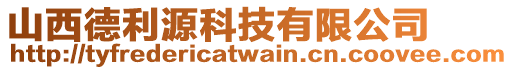 山西德利源科技有限公司