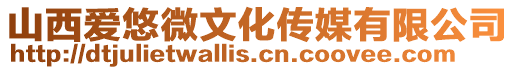 山西愛悠微文化傳媒有限公司