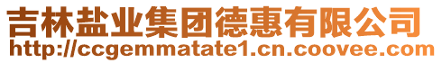 吉林鹽業(yè)集團(tuán)德惠有限公司