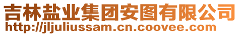 吉林鹽業(yè)集團安圖有限公司