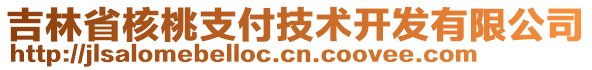 吉林省核桃支付技術(shù)開發(fā)有限公司