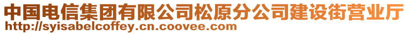 中國電信集團(tuán)有限公司松原分公司建設(shè)街營業(yè)廳