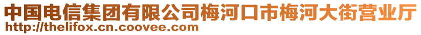 中國電信集團有限公司梅河口市梅河大街營業(yè)廳