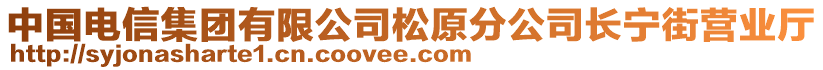 中國電信集團有限公司松原分公司長寧街營業(yè)廳