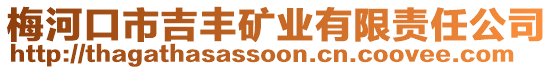 梅河口市吉豐礦業(yè)有限責(zé)任公司