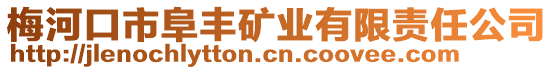 梅河口市阜豐礦業(yè)有限責(zé)任公司