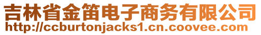 吉林省金笛電子商務有限公司