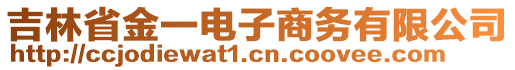 吉林省金一電子商務(wù)有限公司