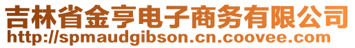 吉林省金亨電子商務有限公司