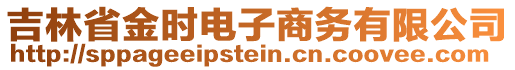 吉林省金時(shí)電子商務(wù)有限公司