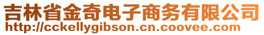 吉林省金奇電子商務(wù)有限公司