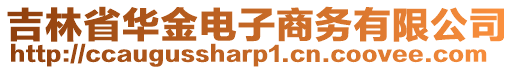 吉林省華金電子商務(wù)有限公司