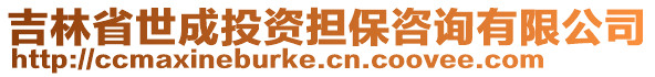 吉林省世成投資擔(dān)保咨詢有限公司