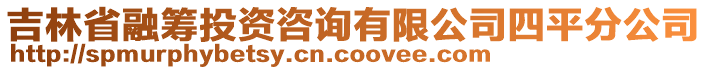 吉林省融籌投資咨詢有限公司四平分公司